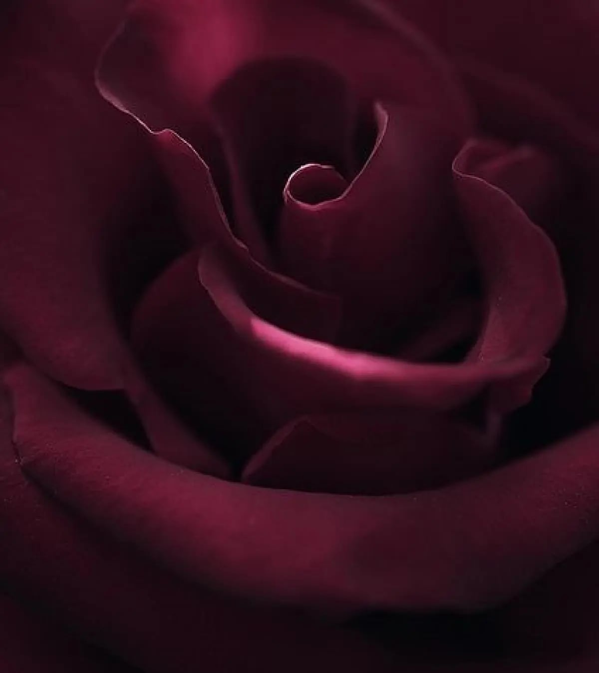 Scent of a woman... by BNK Wines 2