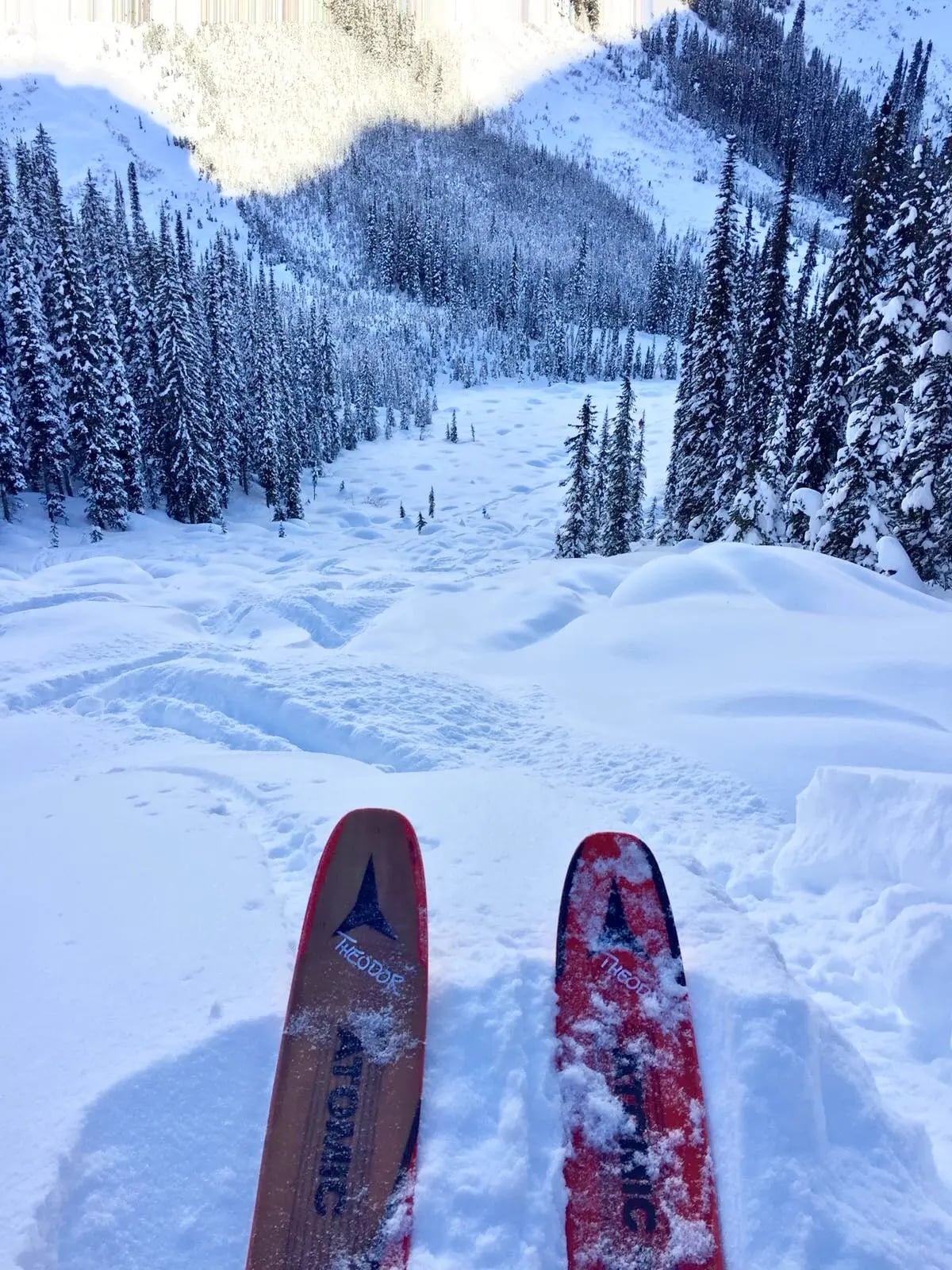 Around the world with  Unique Estates - Christo Iliev and Theodor Iliev heli-skiing in Canada 12