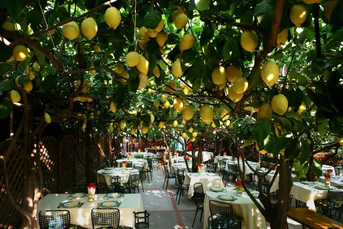 The "big"small restaurants at the Amalfi coast and Capri 21