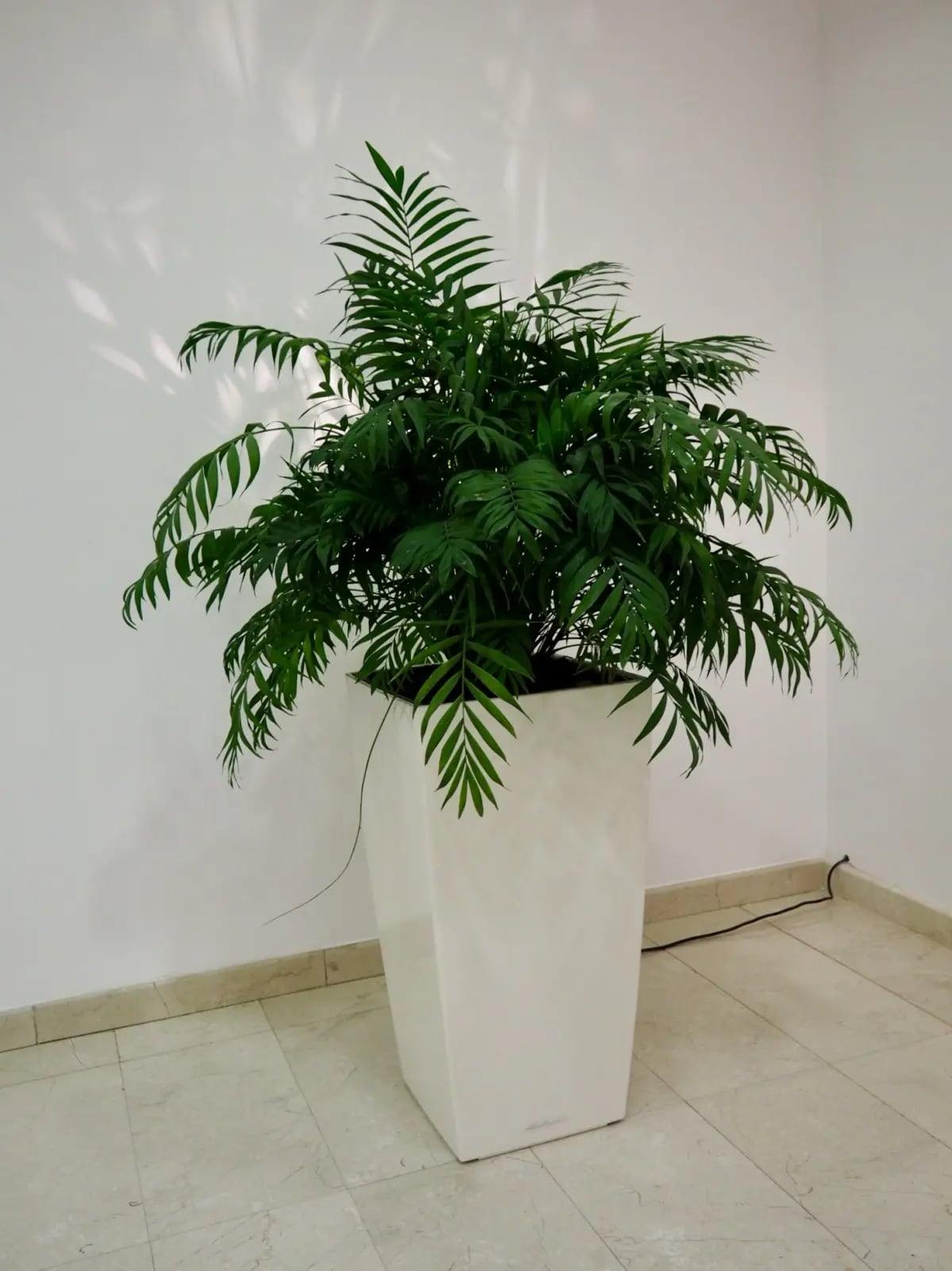 Slide 38