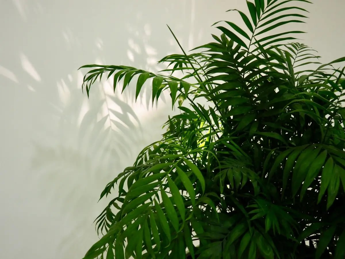 Slide 46