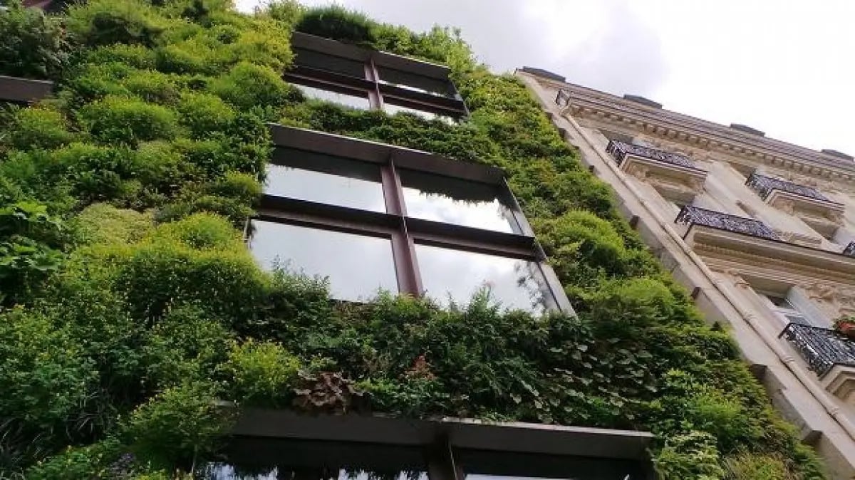 Trends in architecture and design for 2019