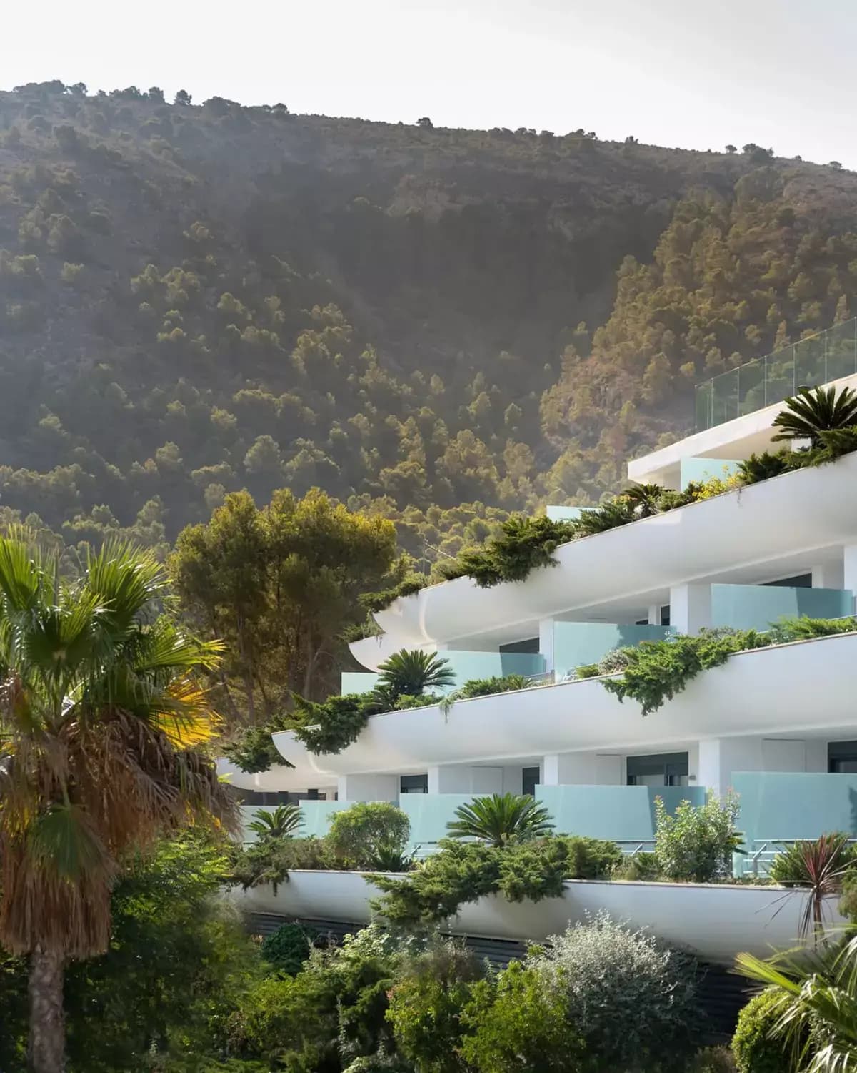 Main