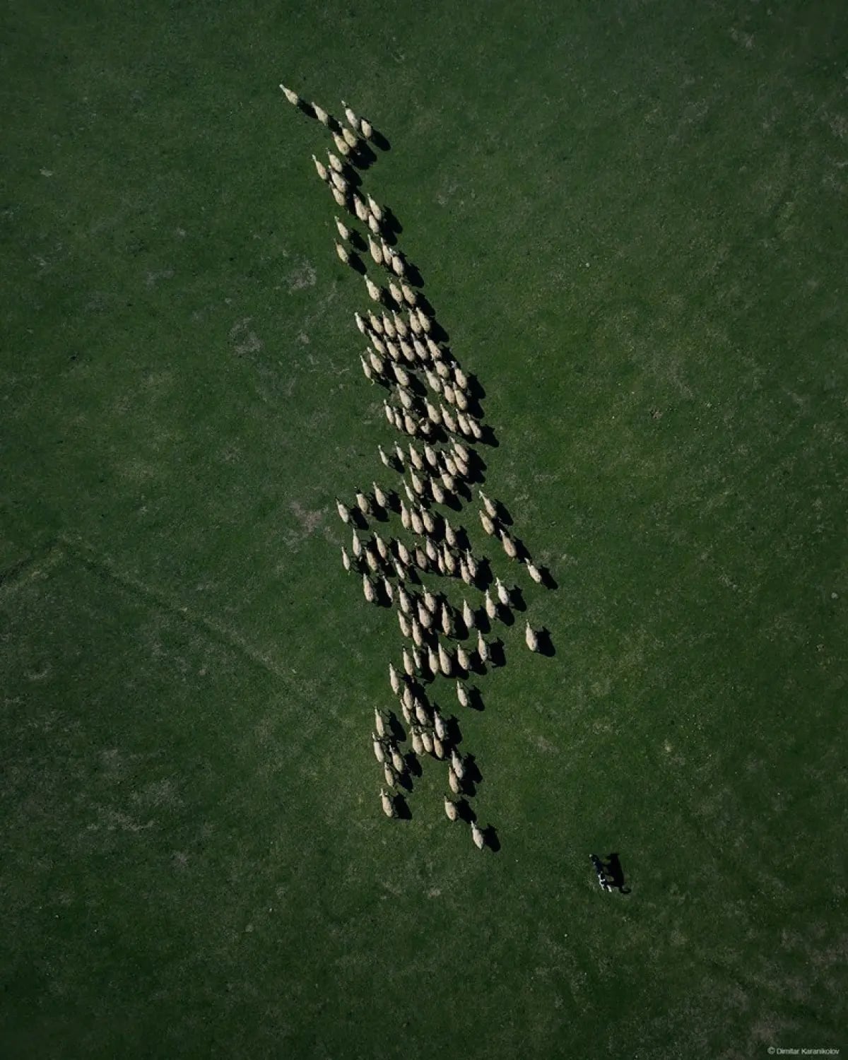 Through the lens of Dimitar Karanikolov 24
