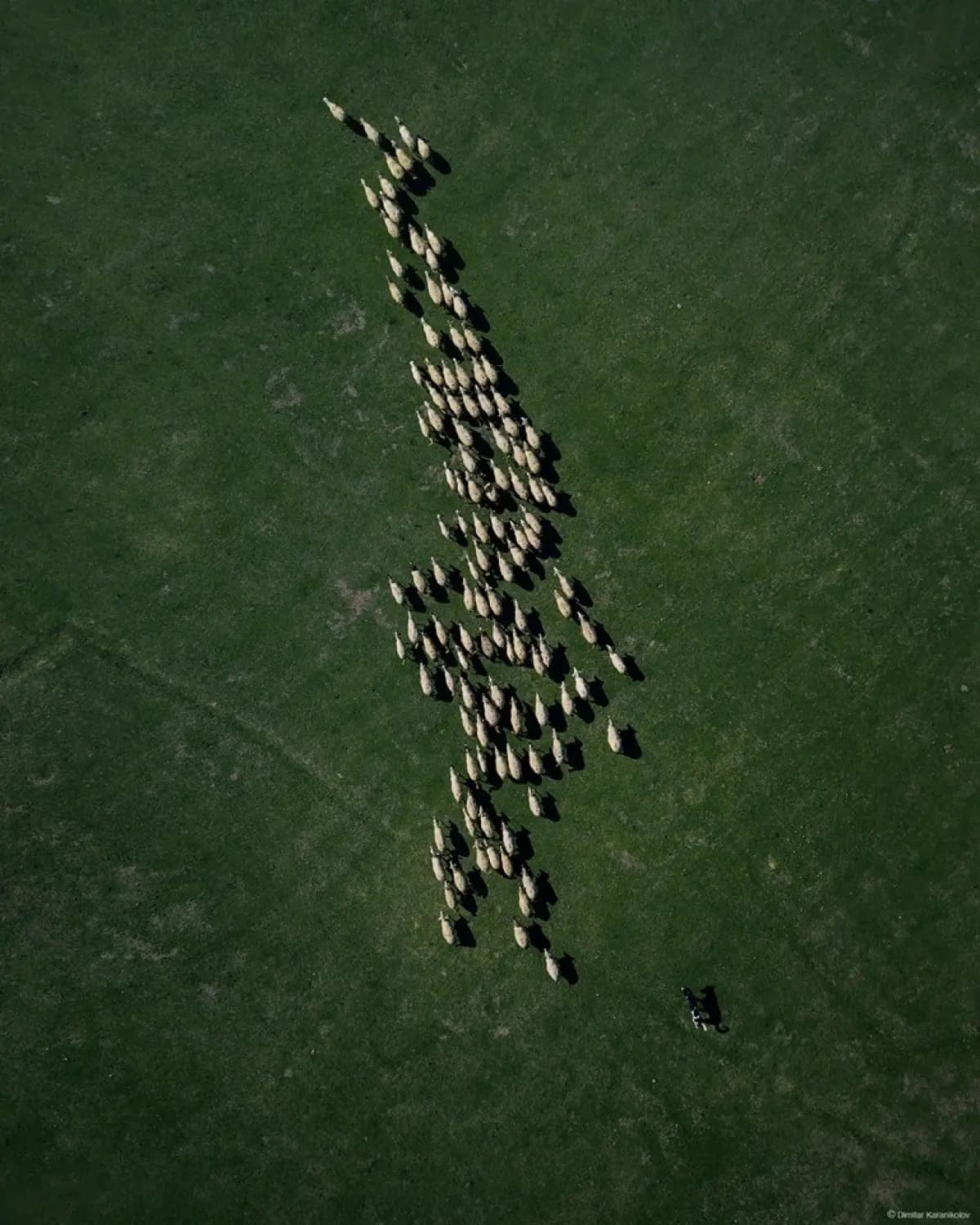 Slide 23