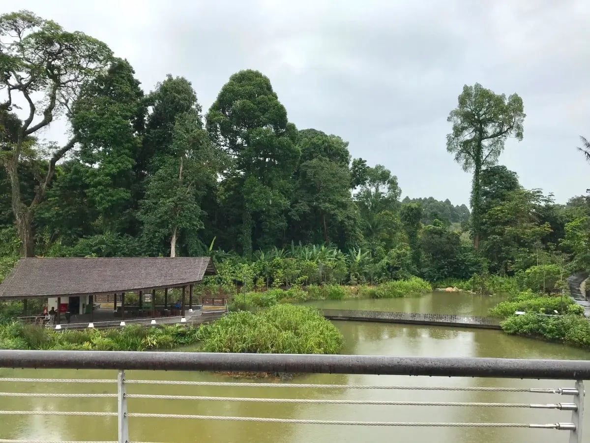 Around the world with Unique Estates’ team - Theodora Bivolarska in Singapore 11