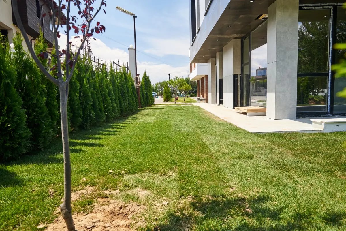 Open House - a new house at attractive price 8
