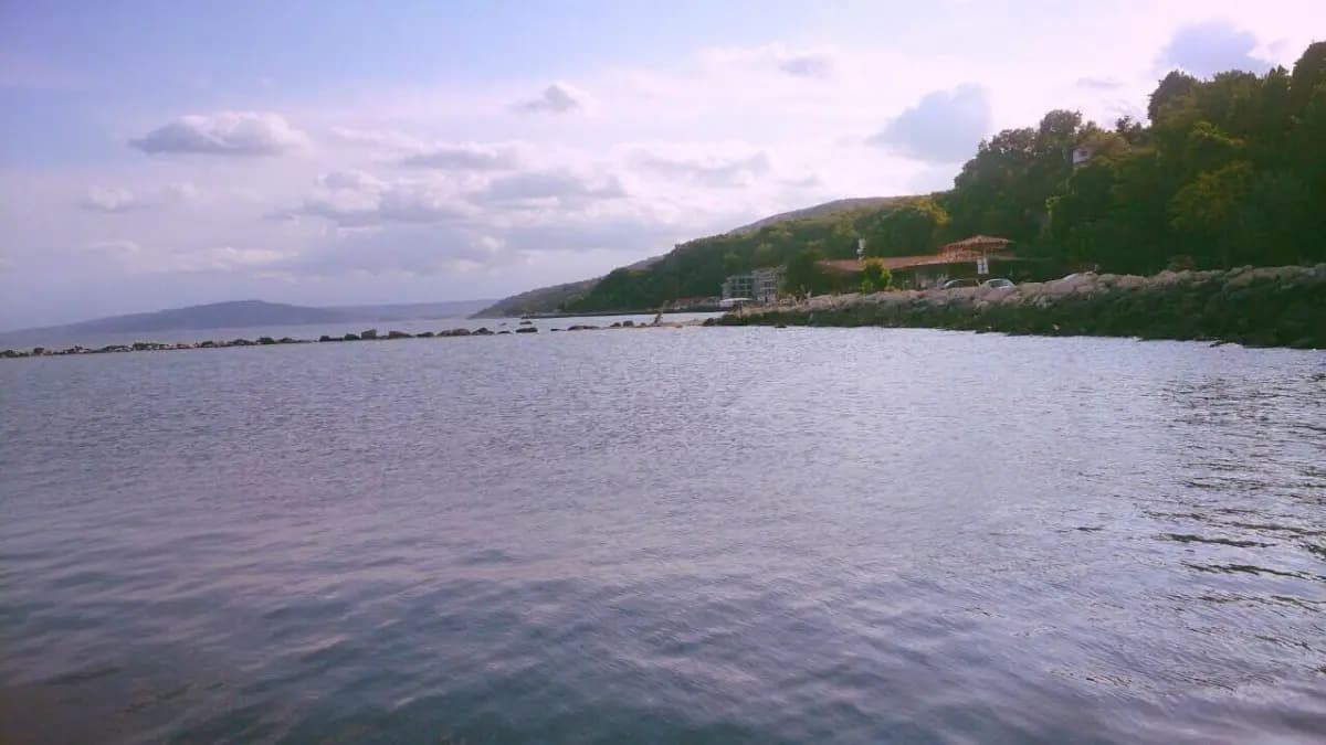 Image 0