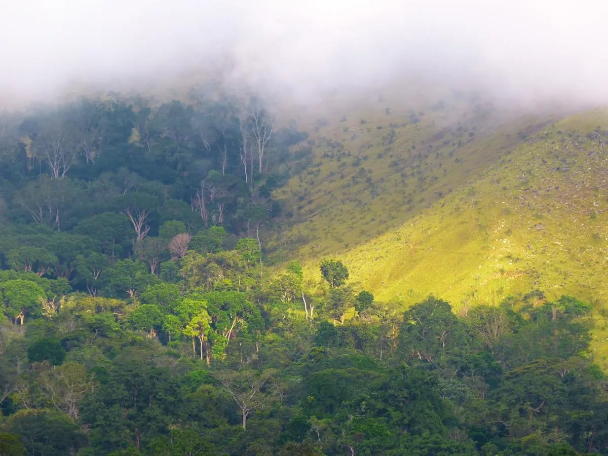 Unique Estates with a tree in the global forest of Leading Real Estate Companies of the World® 4