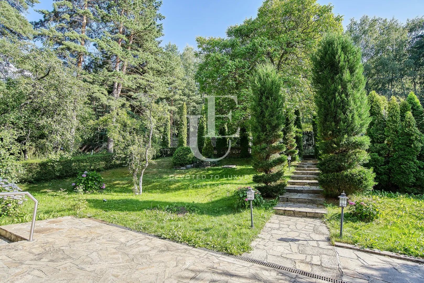 Image 11
