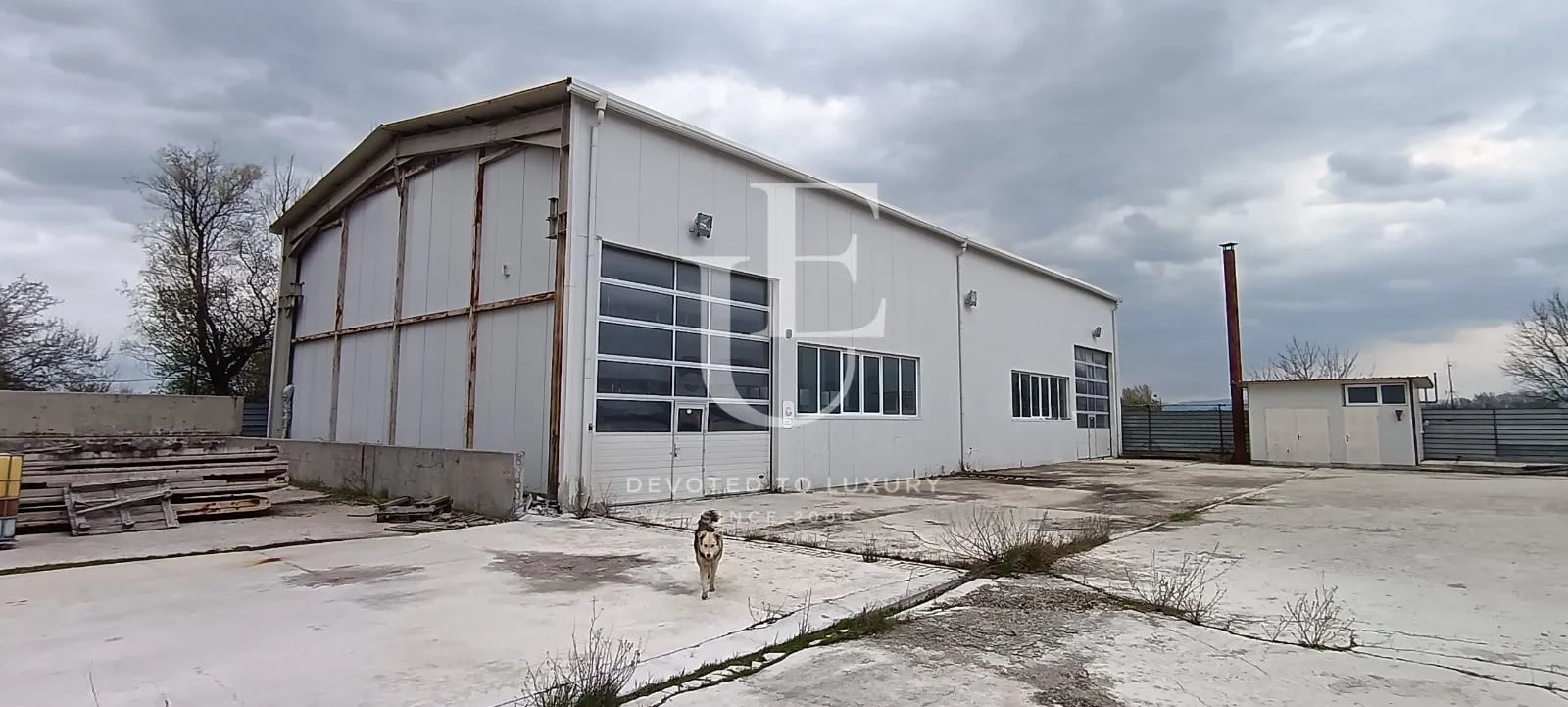 Image 3