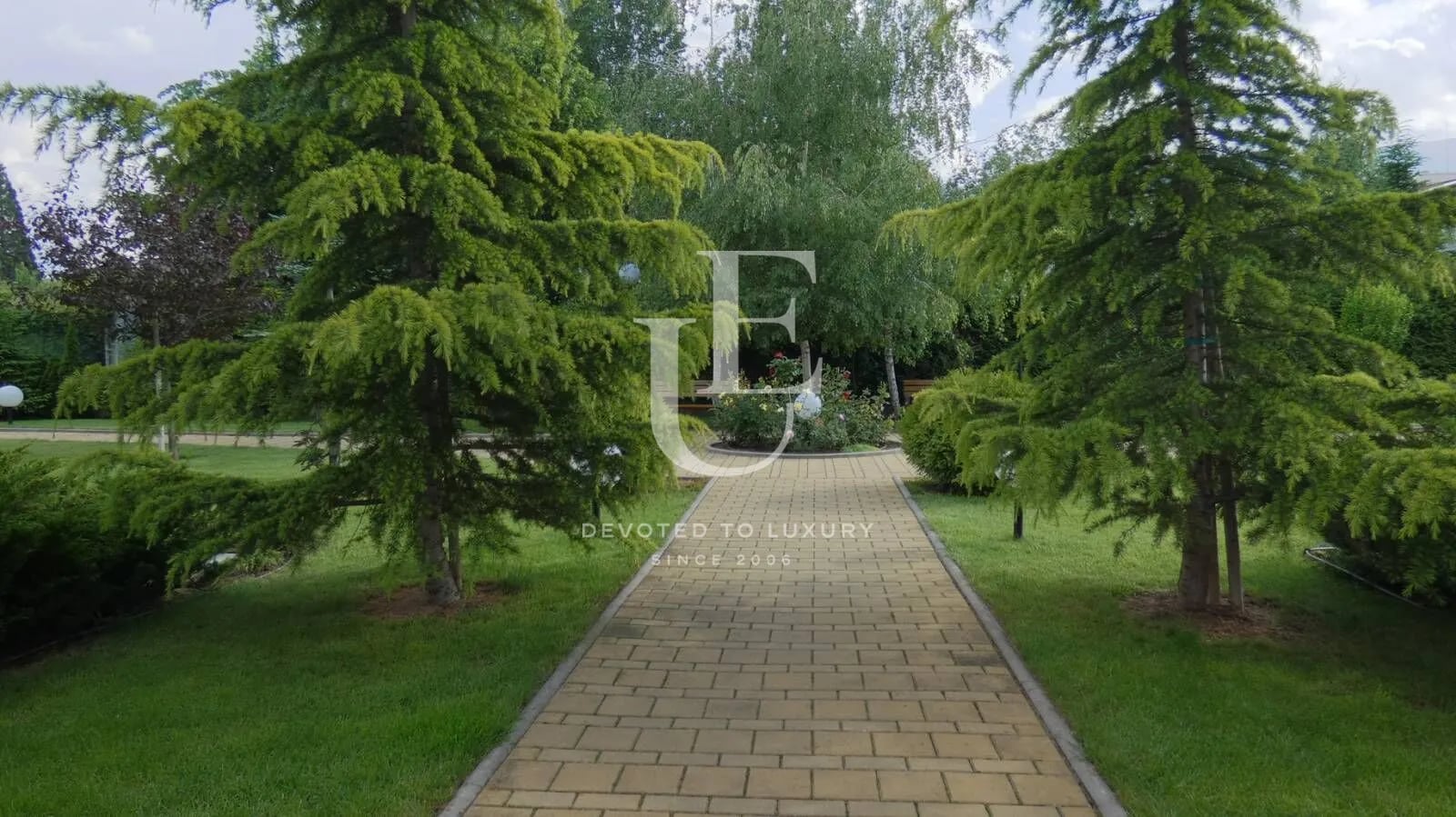 Image 15